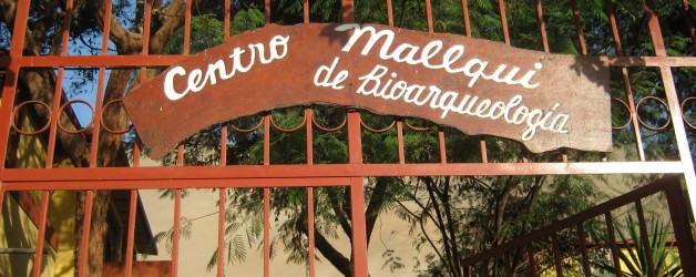 Ilo: Centro Mallqui